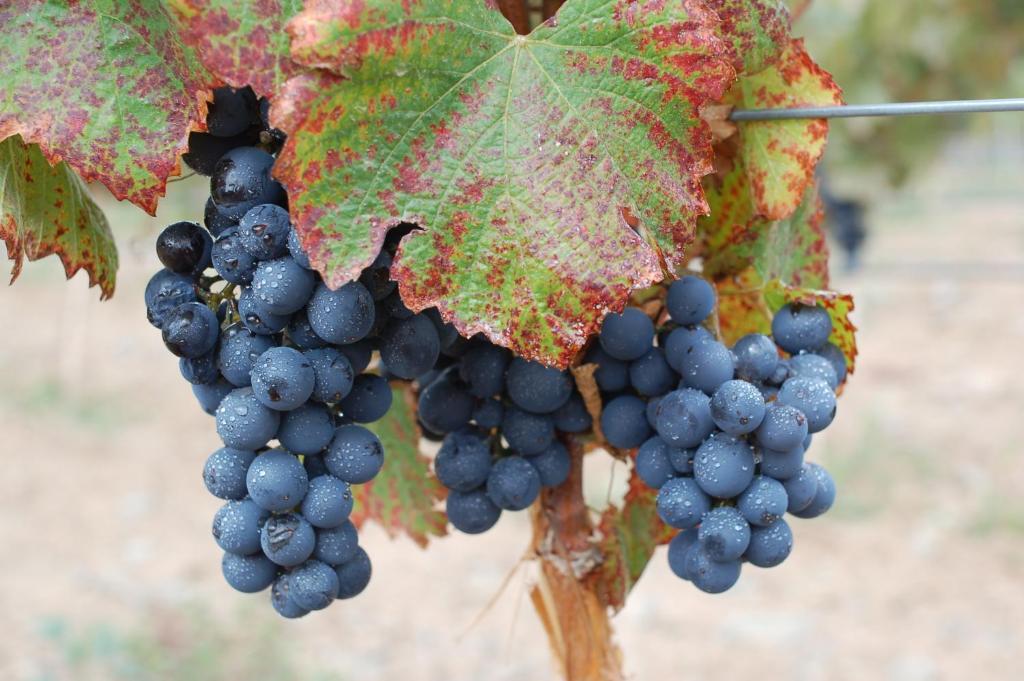 Miraluna Bodega Boutique Качи Экстерьер фото