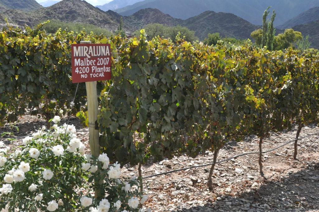 Miraluna Bodega Boutique Качи Экстерьер фото